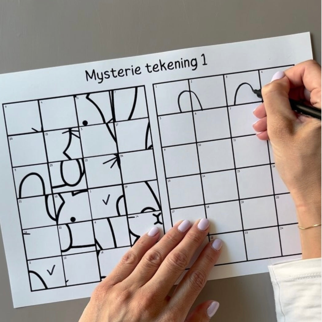 Mysterie tekening